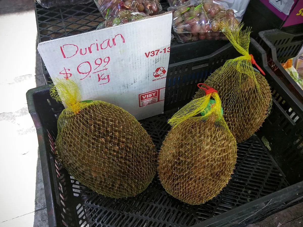 Opened durian showing creamy yellow pods at a Davao fruit stand