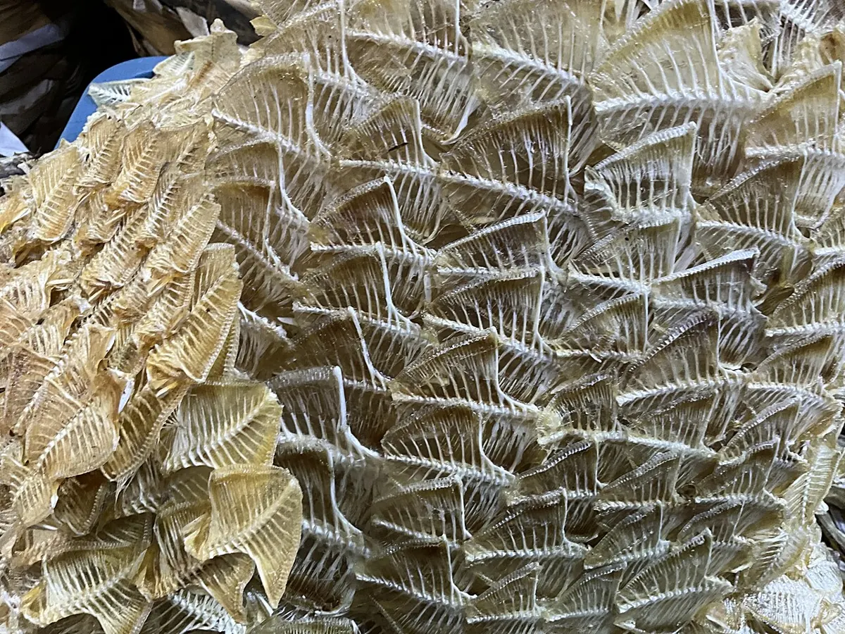 Fresh groupers, snappers and tuna laid out on ice at a Philippine wet market stall
