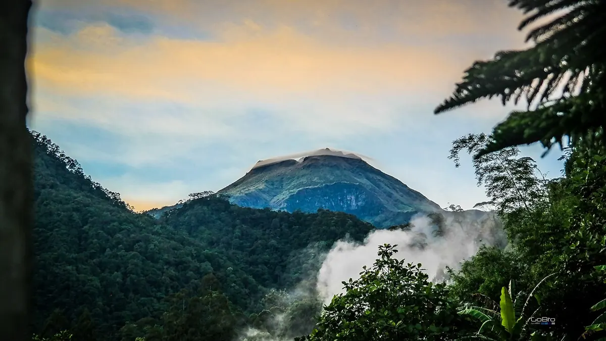 Mount Apo summit rising above clouds and forested ridges in Mindanao